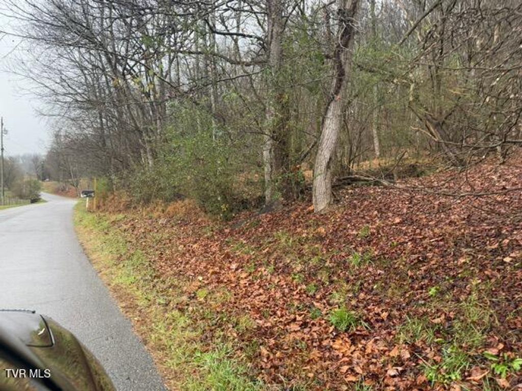 Photo of Tbd Fork River Road, Abingdon, VA 24210 (MLS # 9989391)