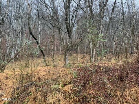 Vacant Land For Sale - TBD Fork River Road<br/> Abingdon, VA 24210