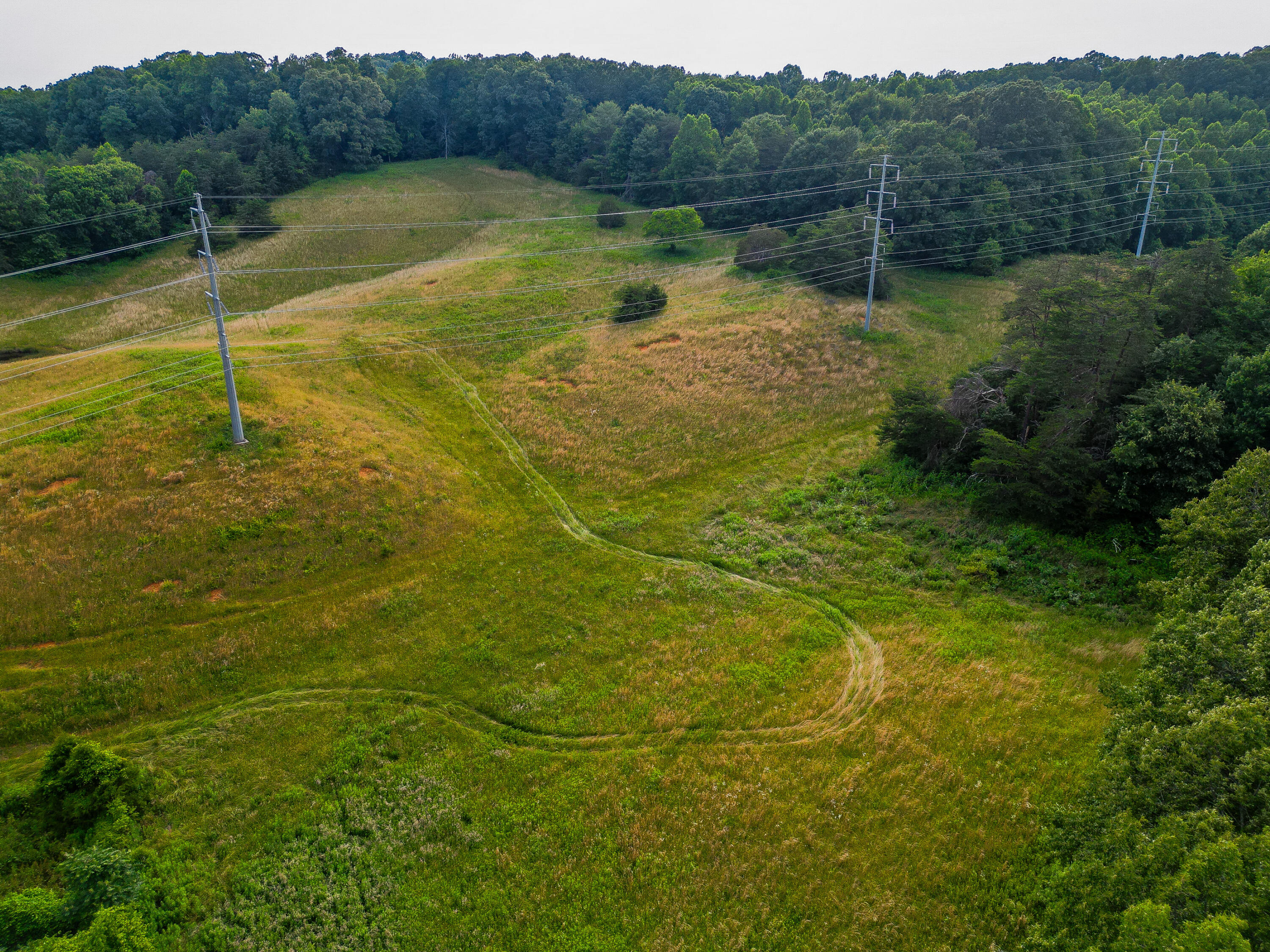 Tbd Cherokee Road, Johnson City, Tennessee image 13