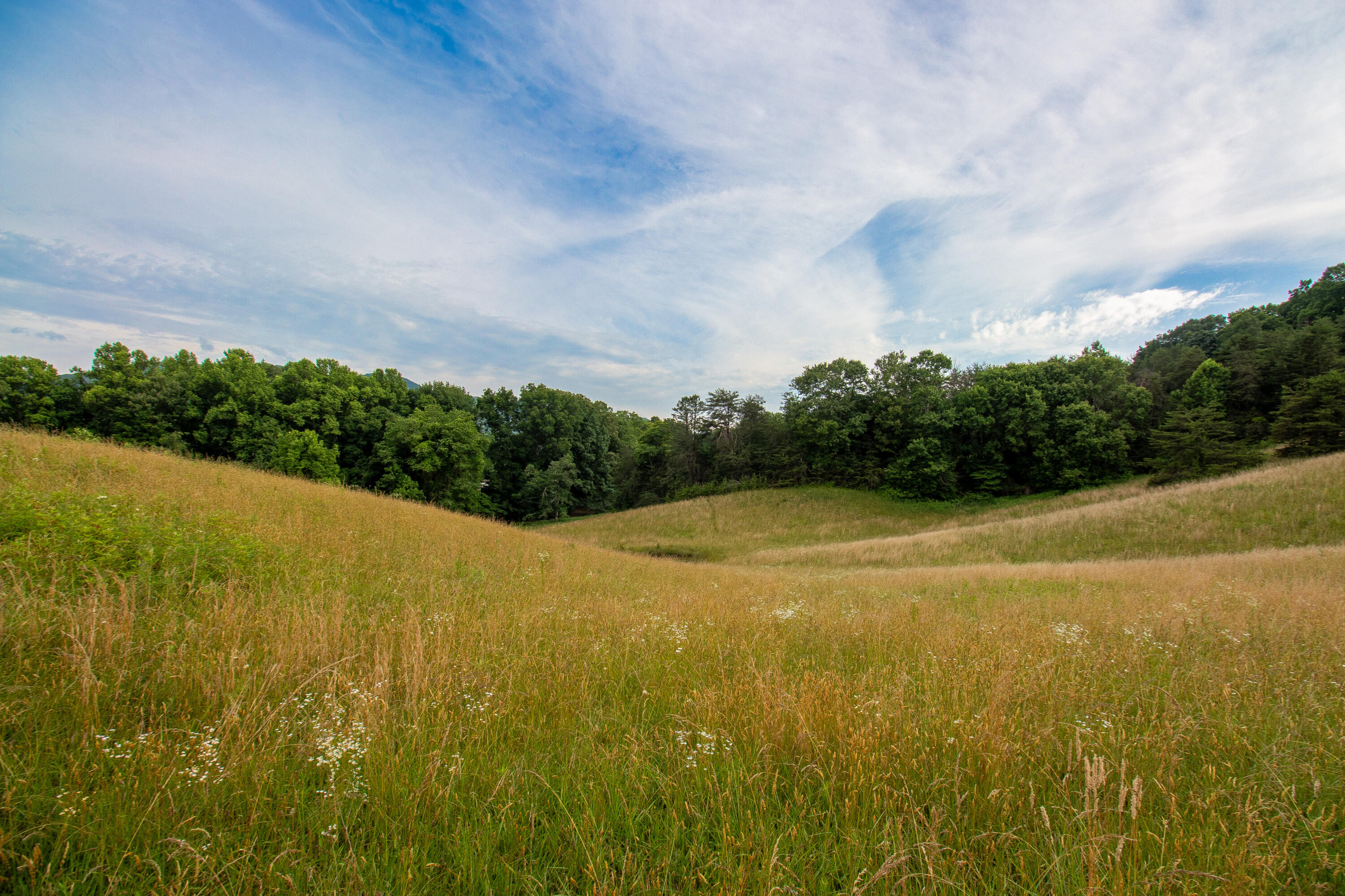 Tbd Cherokee Road, Johnson City, Tennessee image 30