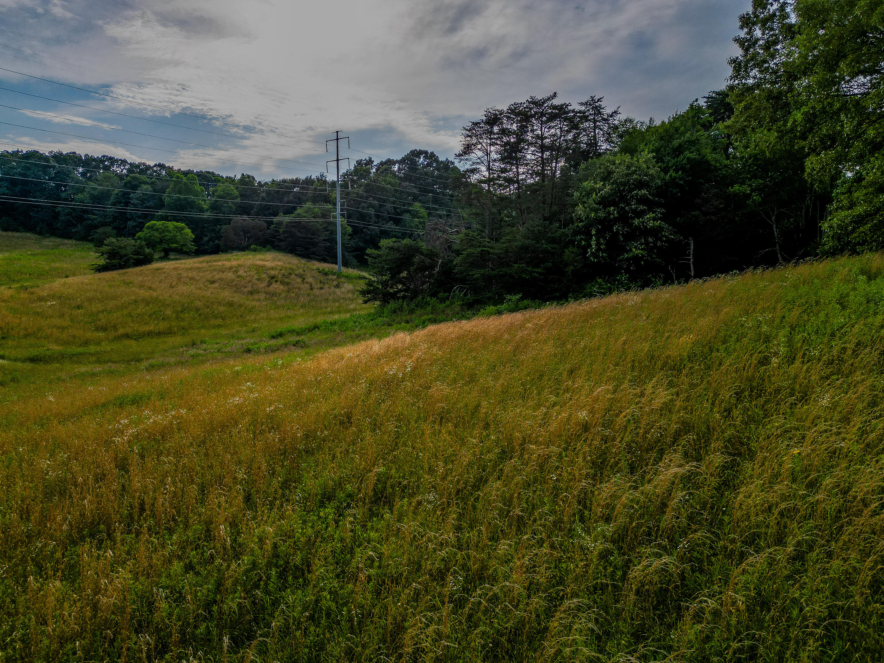 Tbd Cherokee Road, Johnson City, Tennessee image 11