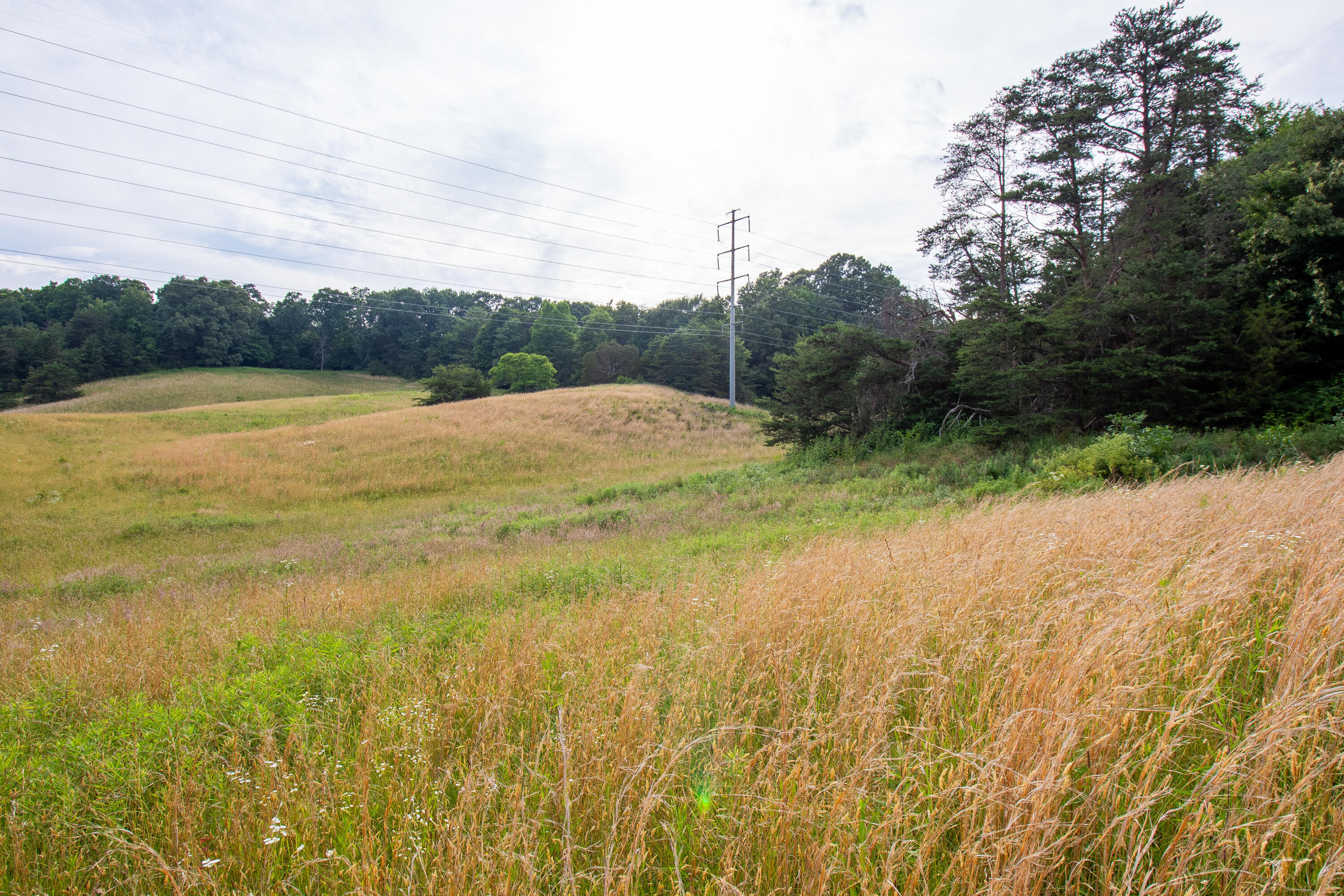 Tbd Cherokee Road, Johnson City, Tennessee image 28