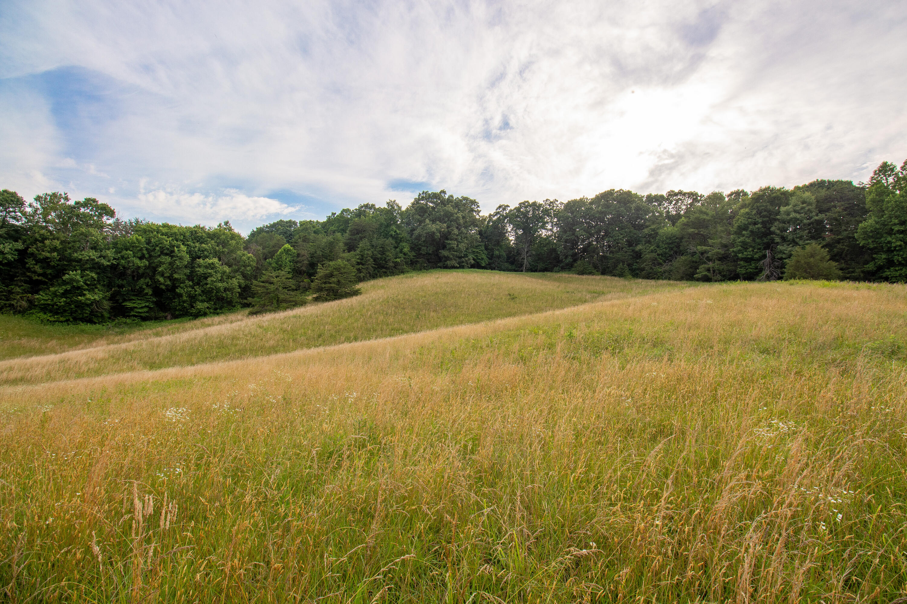 Tbd Cherokee Road, Johnson City, Tennessee image 29