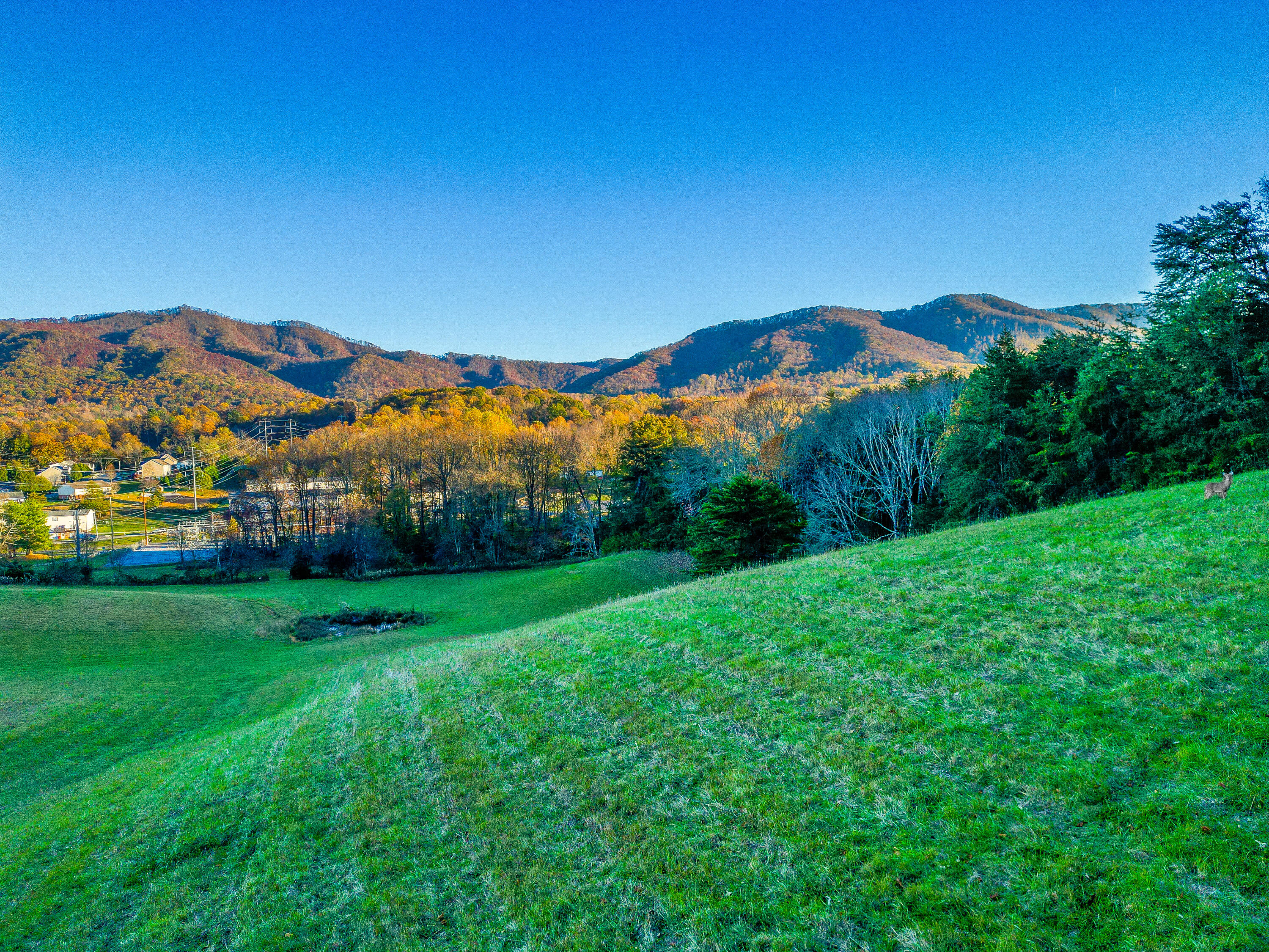 Tbd Cherokee Road, Johnson City, Tennessee image 5