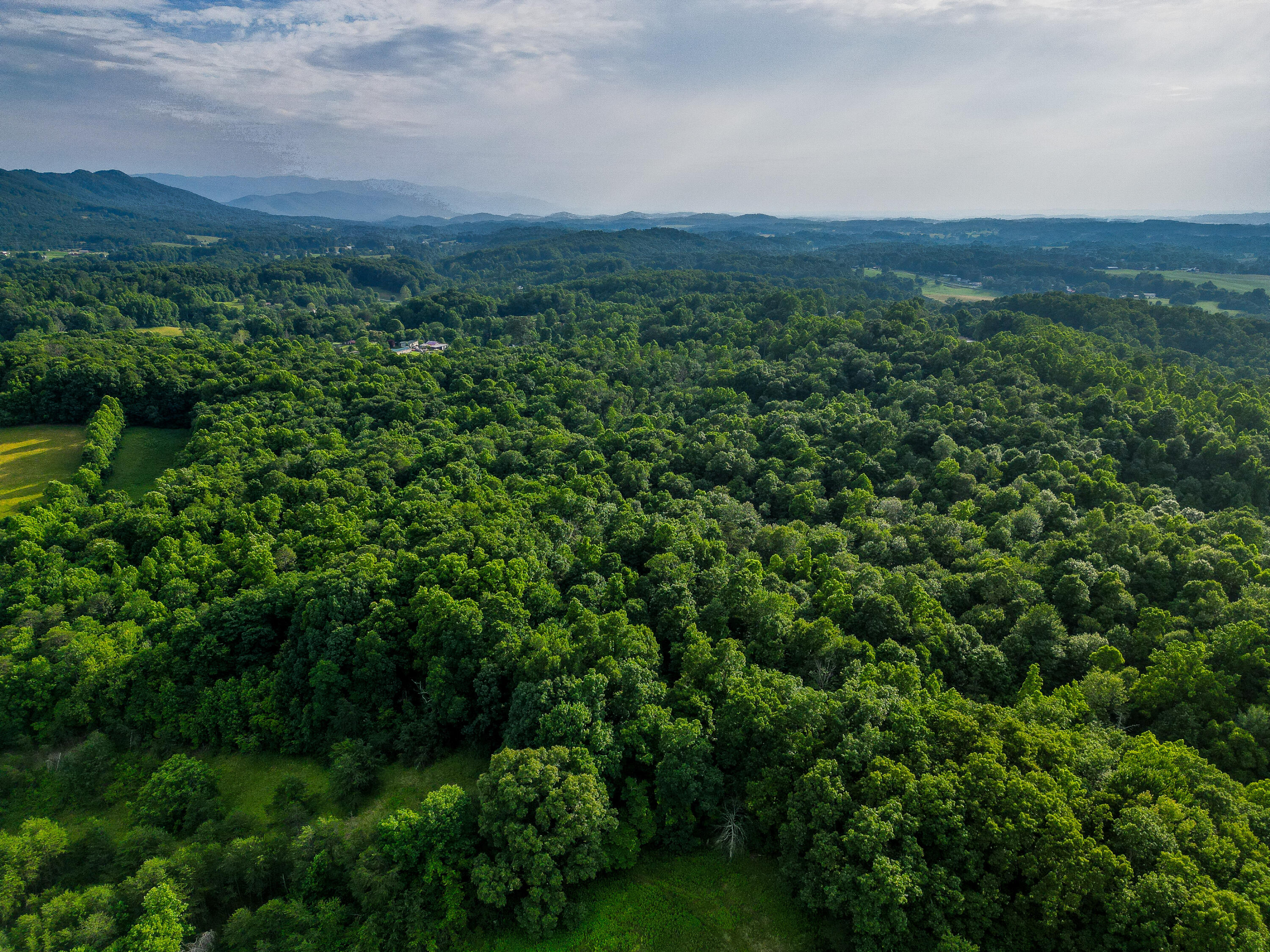 Tbd Cherokee Road, Johnson City, Tennessee image 15
