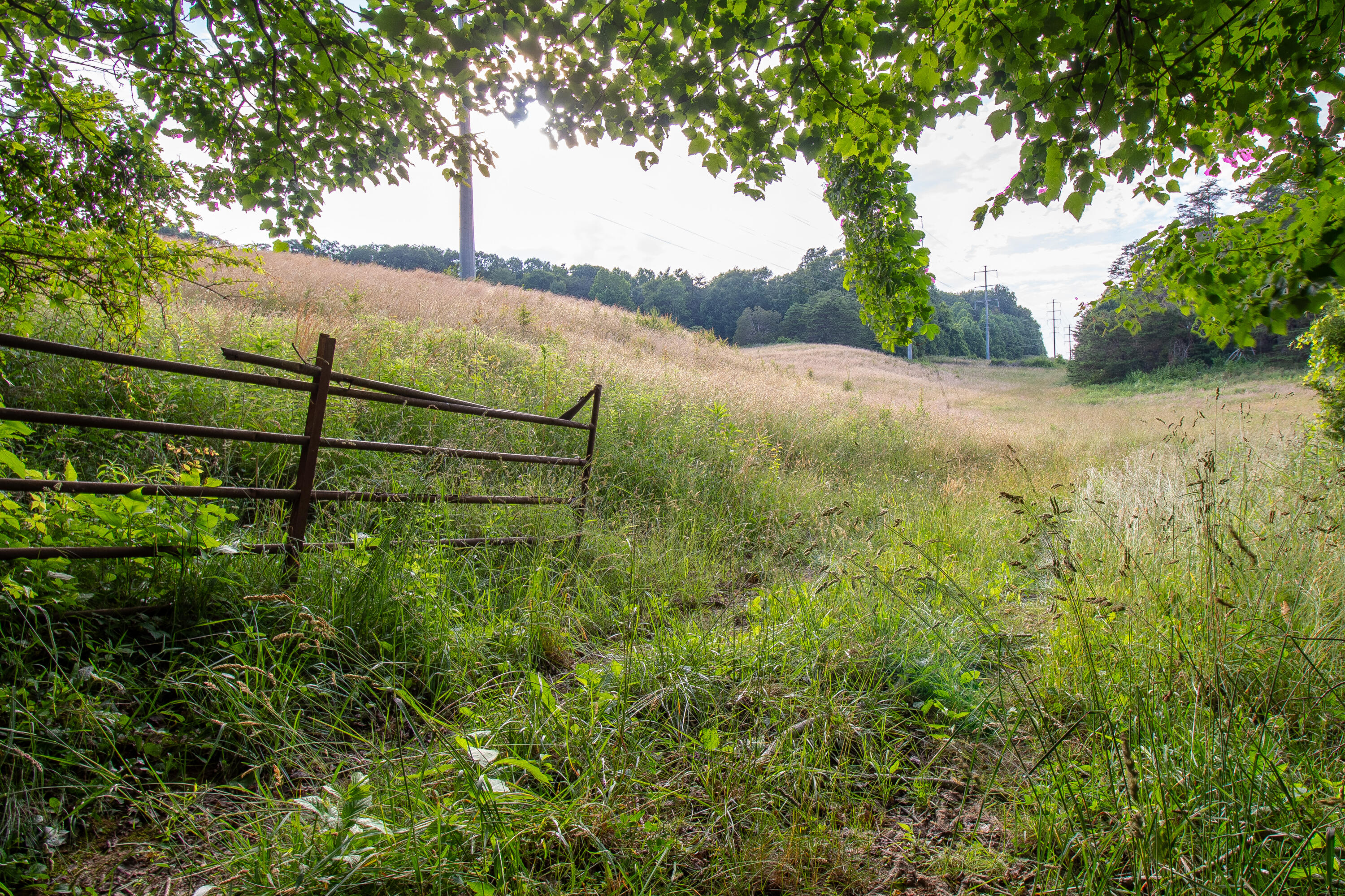 Tbd Cherokee Road, Johnson City, Tennessee image 31