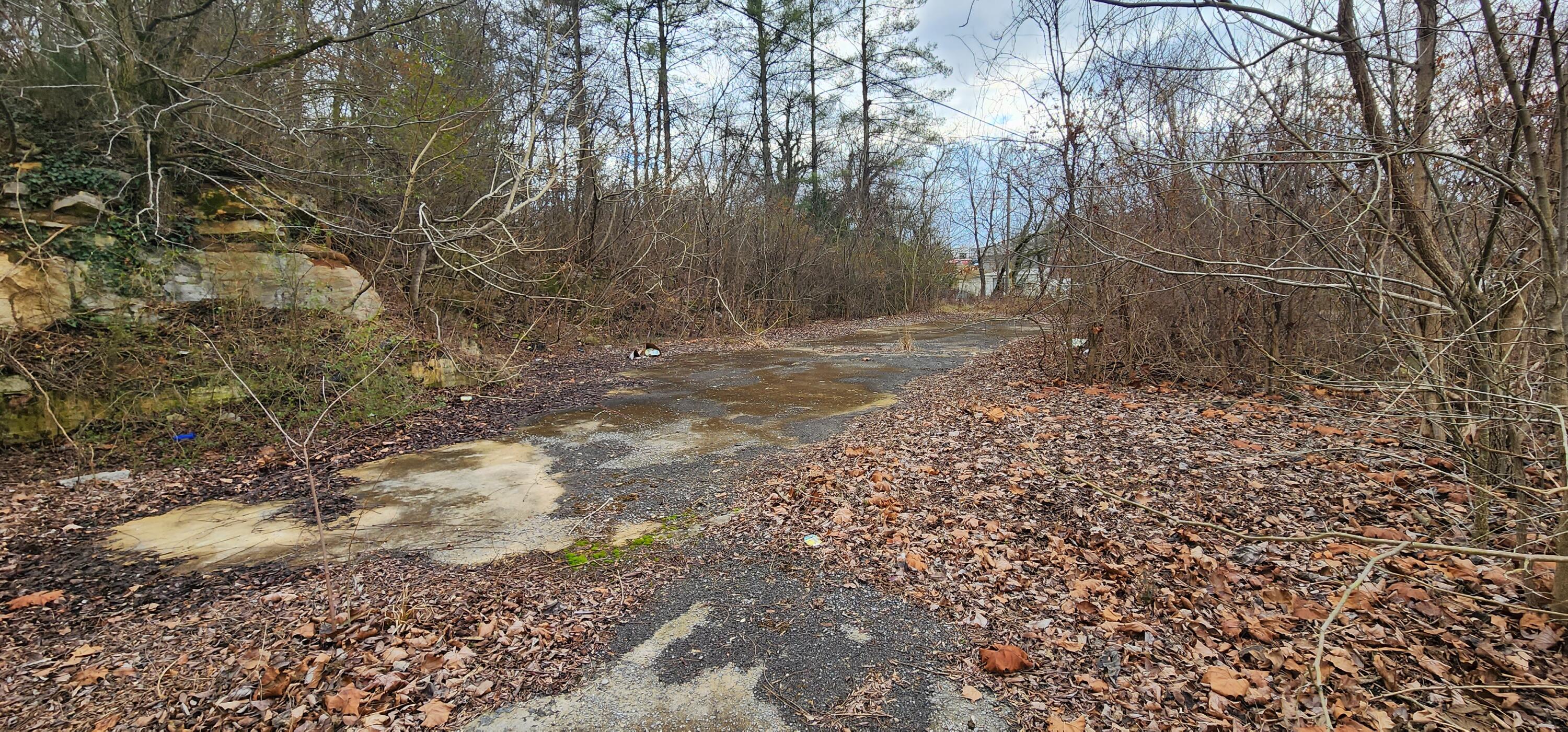 1910 Main Street, Surgoinsville, Tennessee image 4