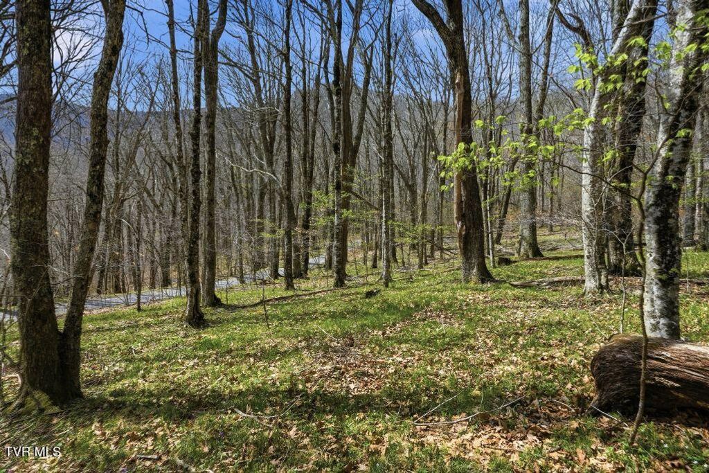 Photo of Tbd Log Cabin Lane, Roan Mountain, TN 37687 (MLS # 9994020)