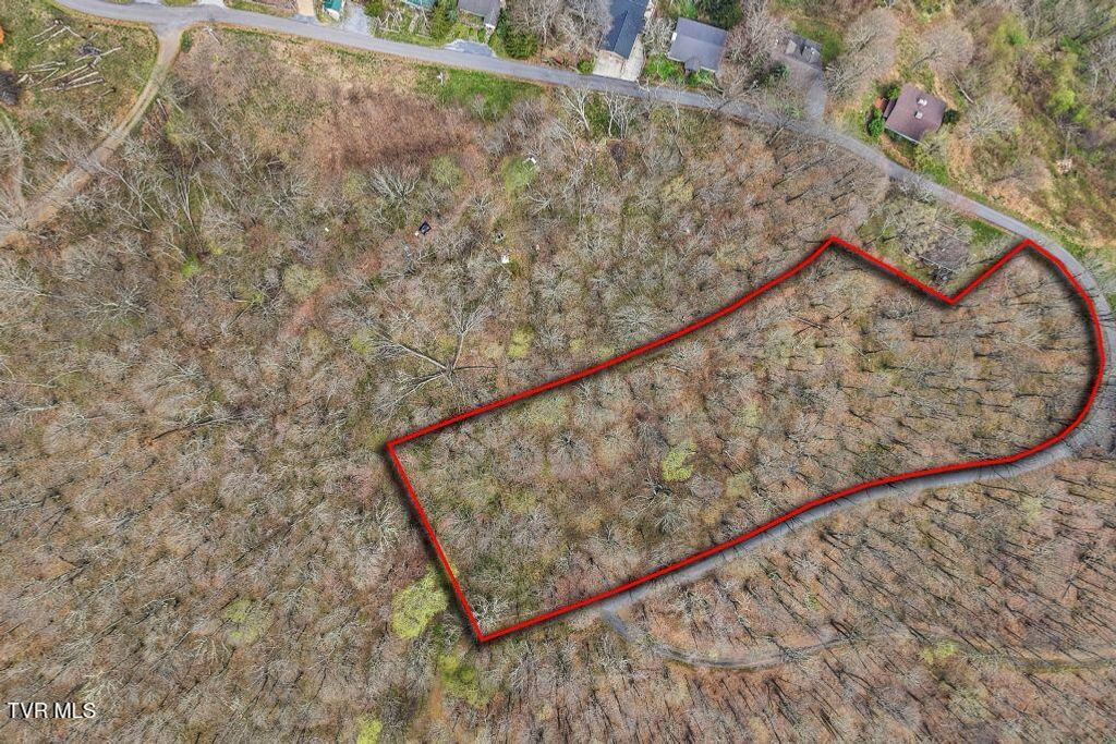 Photo of Tbd Log Cabin Lane, Roan Mountain, TN 37687 (MLS # 9994020)