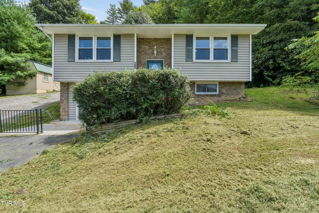 Photo of 506 Chestnut Drive, Mountain City, TN 37683 (MLS # 9999762)