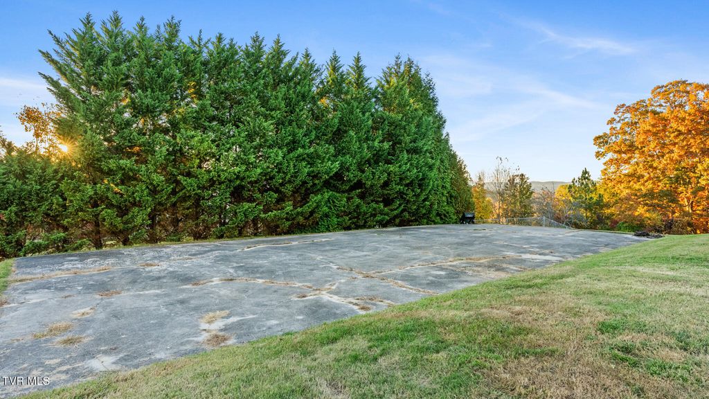 Photo of 770 Harvey Drive, Russellville, TN 37860 (MLS # 9988000)