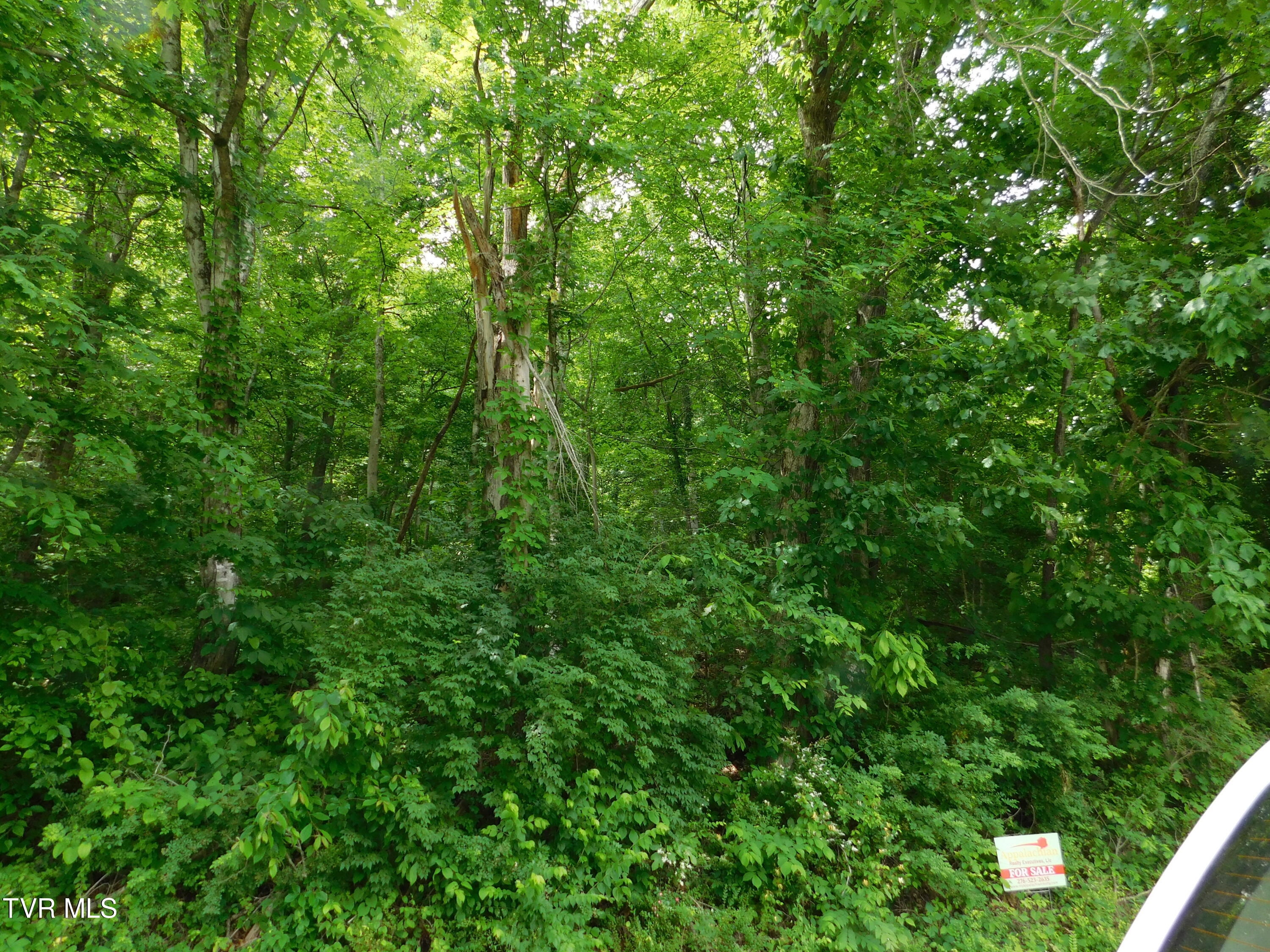 00 Shelby Avenue, Big Stone Gap, Virginia image 2