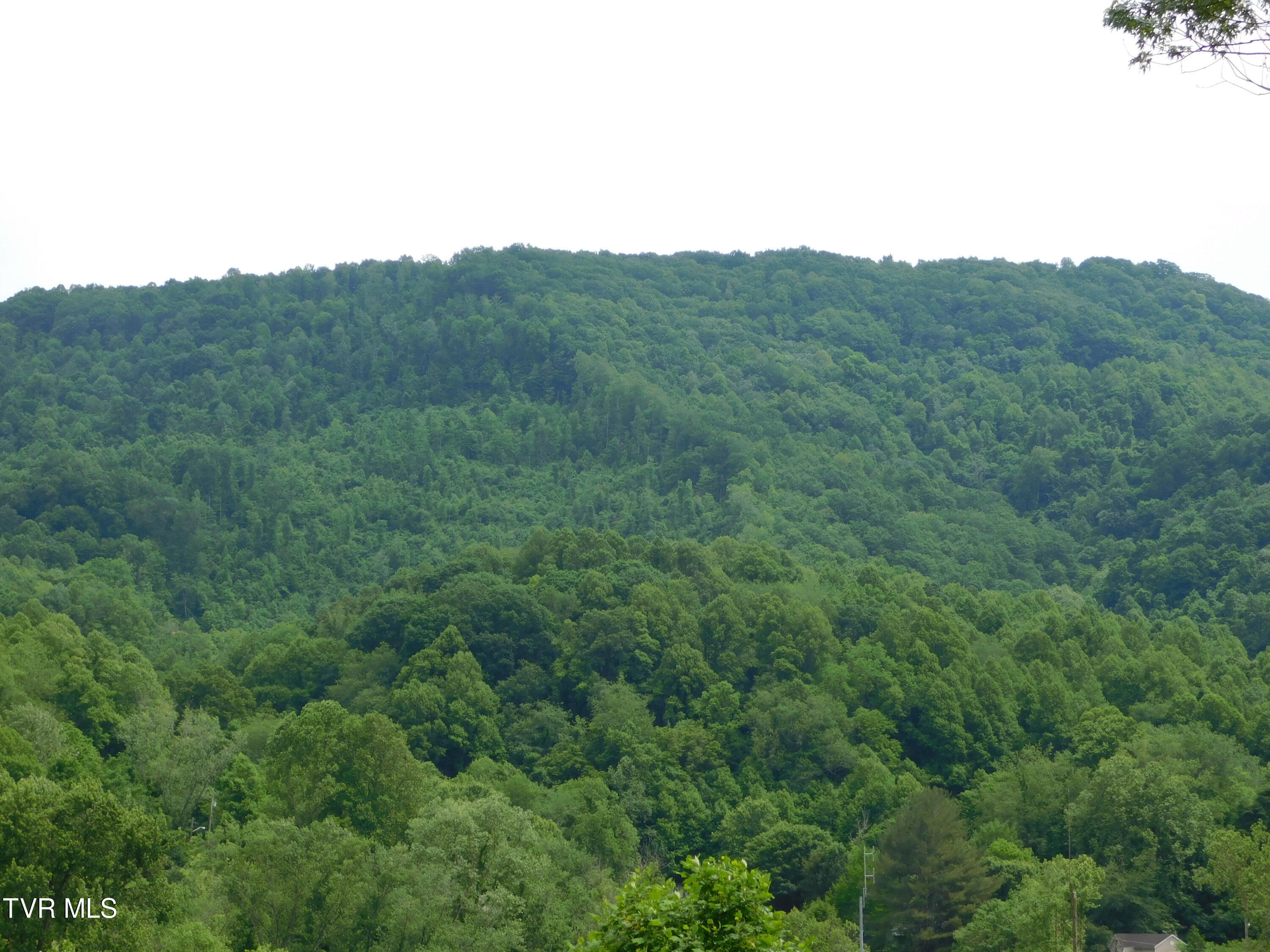 00 Shelby Avenue, Big Stone Gap, Virginia image 5