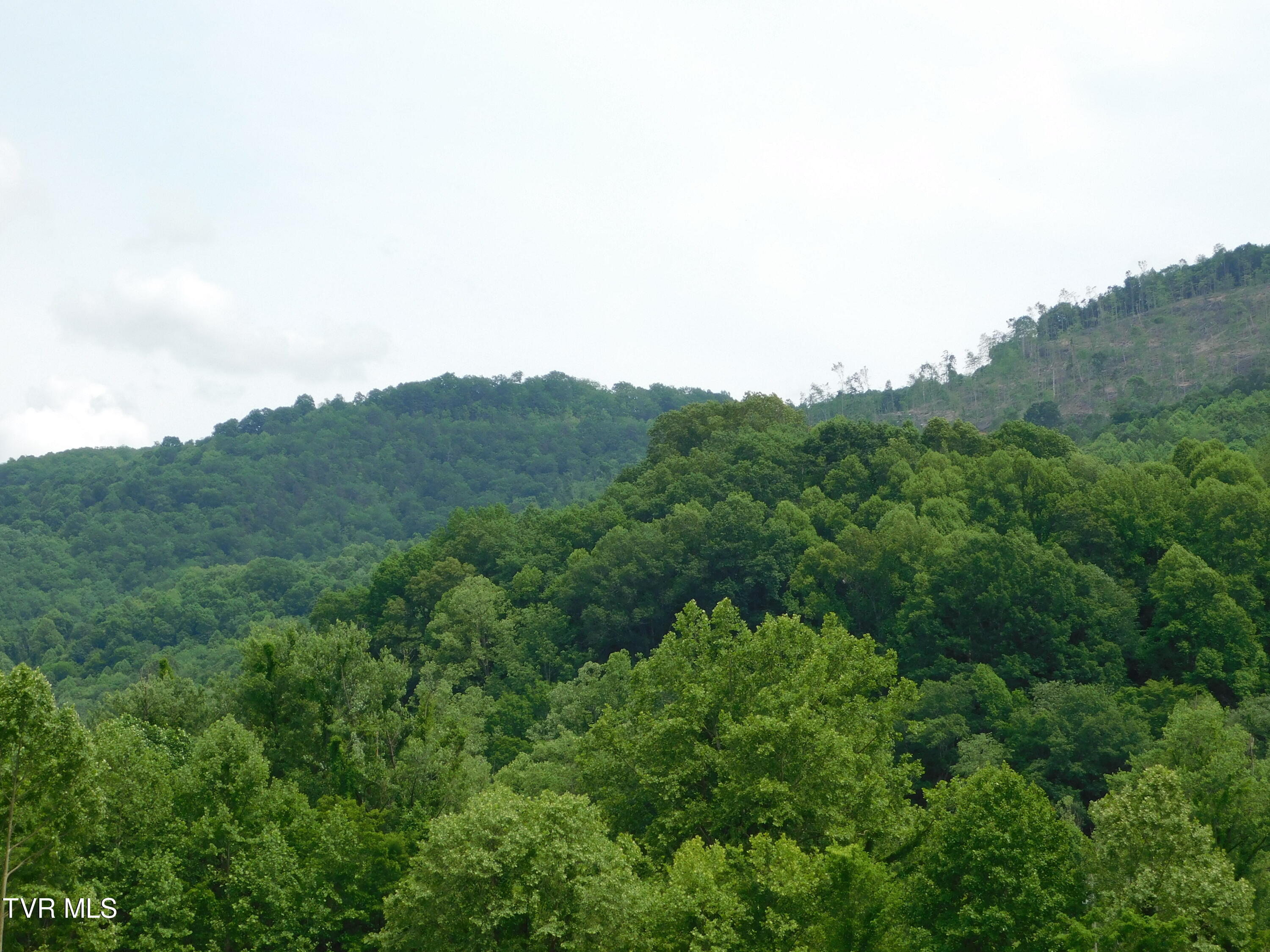 00 Shelby Avenue, Big Stone Gap, Virginia image 6
