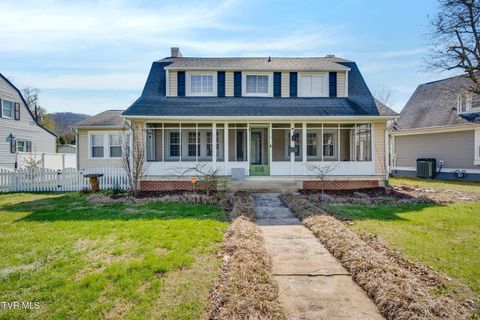 Photo of 518 Ohio Avenue, Erwin, TN 37650 (MLS # 9992688)