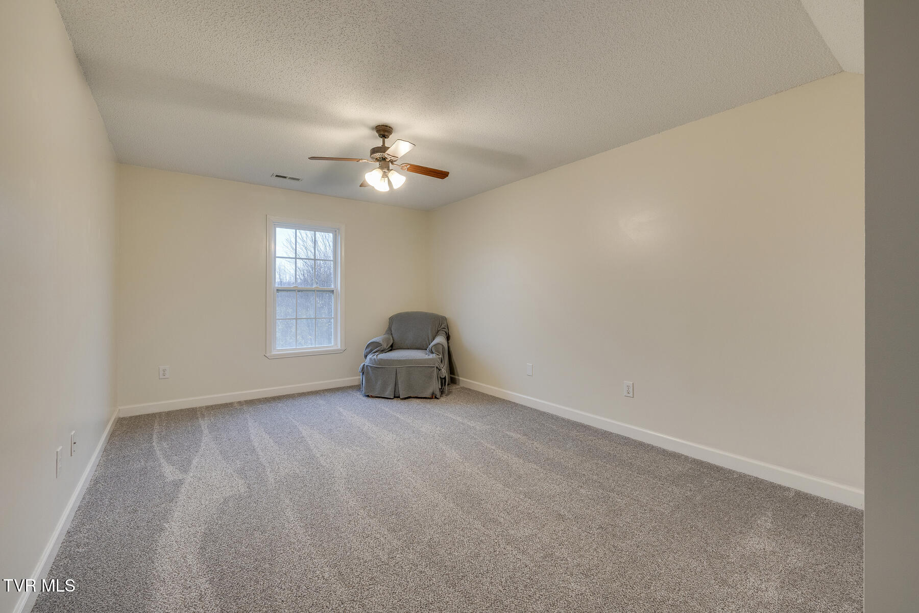 127 Kanes Court, Jonesborough, Tennessee image 19