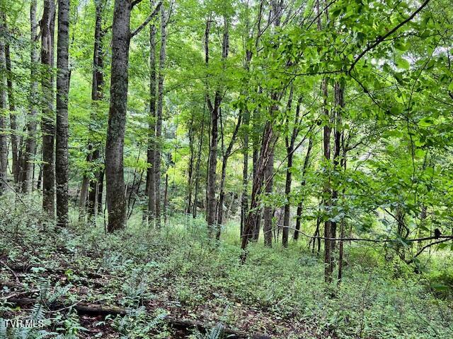 337 Heaton Creek Road, Roan Mountain, Tennessee image 2