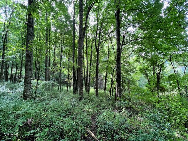 337 Heaton Creek Road, Roan Mountain, Tennessee image 29