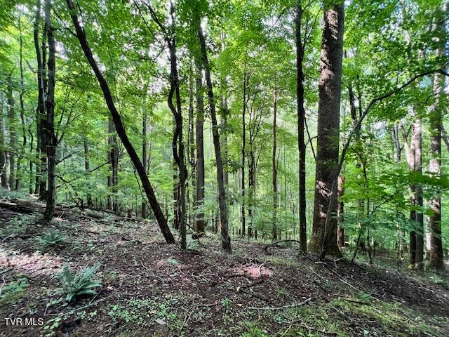 337 Heaton Creek Road, Roan Mountain, Tennessee image 22