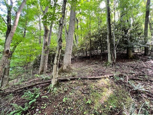 337 Heaton Creek Road, Roan Mountain, Tennessee image 24