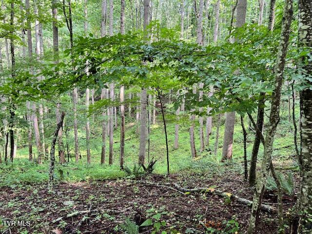 337 Heaton Creek Road, Roan Mountain, Tennessee image 1