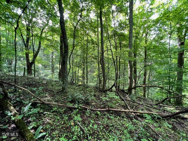 337 Heaton Creek Road, Roan Mountain, Tennessee image 9