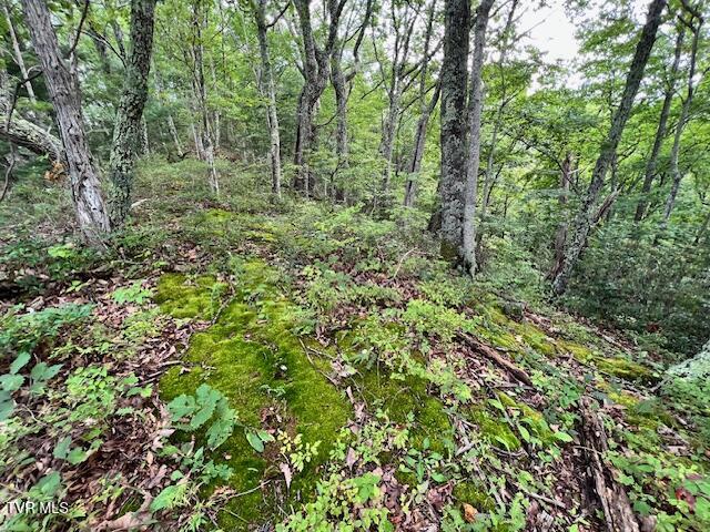 337 Heaton Creek Road, Roan Mountain, Tennessee image 18
