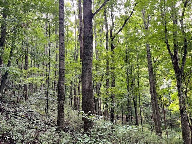 337 Heaton Creek Road, Roan Mountain, Tennessee image 26
