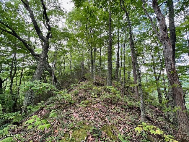 337 Heaton Creek Road, Roan Mountain, Tennessee image 19