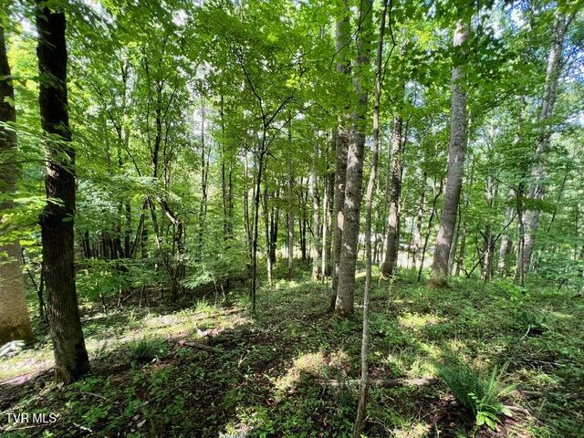 337 Heaton Creek Road, Roan Mountain, Tennessee image 5