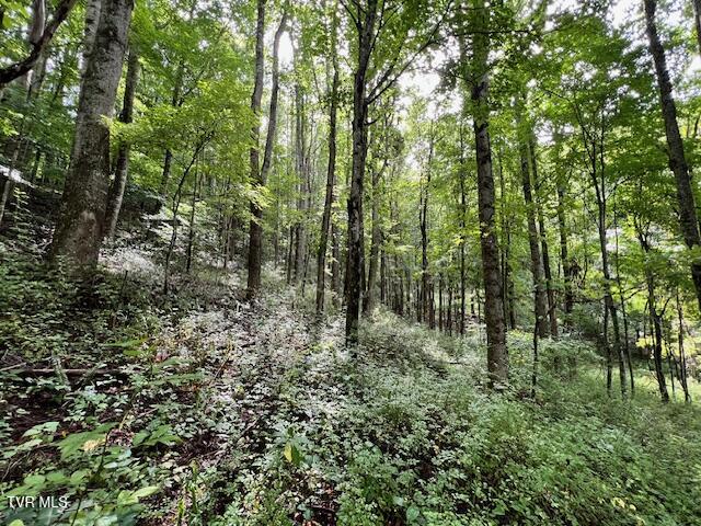 337 Heaton Creek Road, Roan Mountain, Tennessee image 27