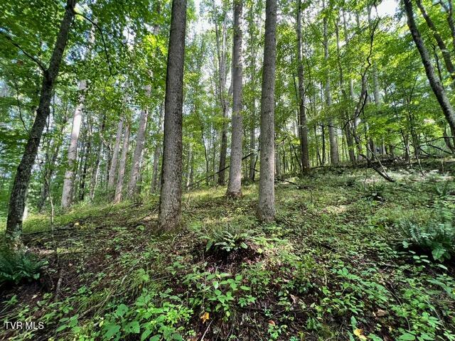 337 Heaton Creek Road, Roan Mountain, Tennessee image 12