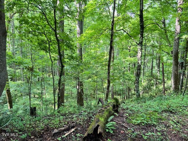 337 Heaton Creek Road, Roan Mountain, Tennessee image 25
