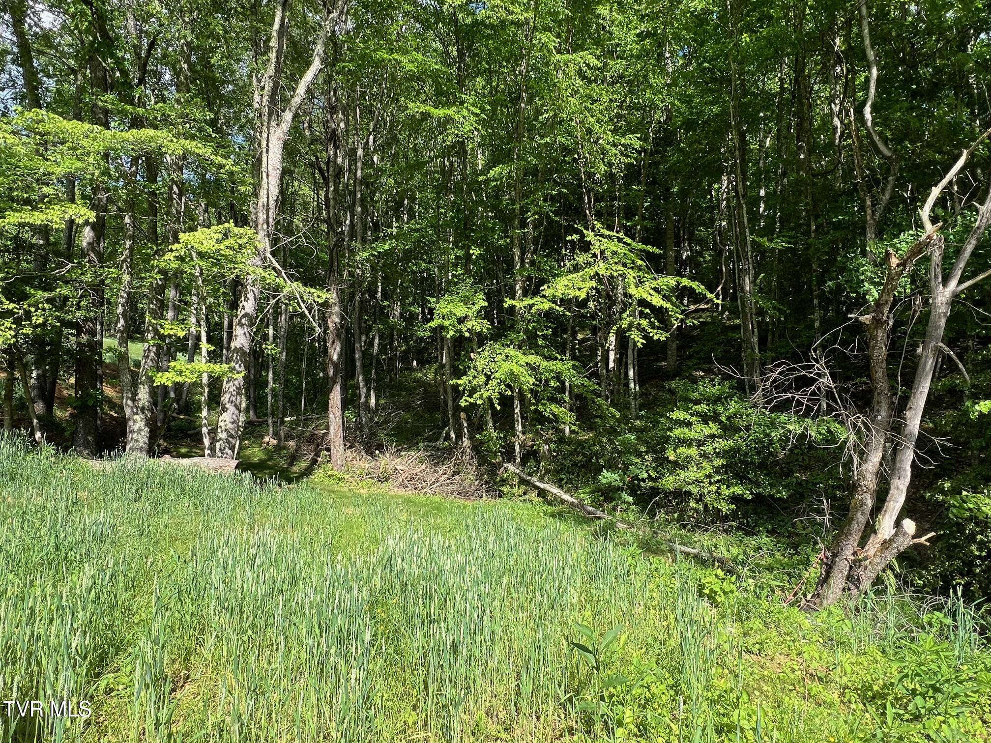 337 Heaton Creek Road, Roan Mountain, Tennessee image 32