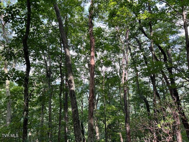 337 Heaton Creek Road, Roan Mountain, Tennessee image 21