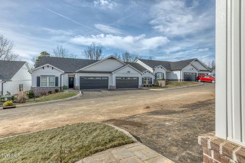Photo of 106 Klm Drive #16, Johnson City, TN 37615 (MLS # 9990150)