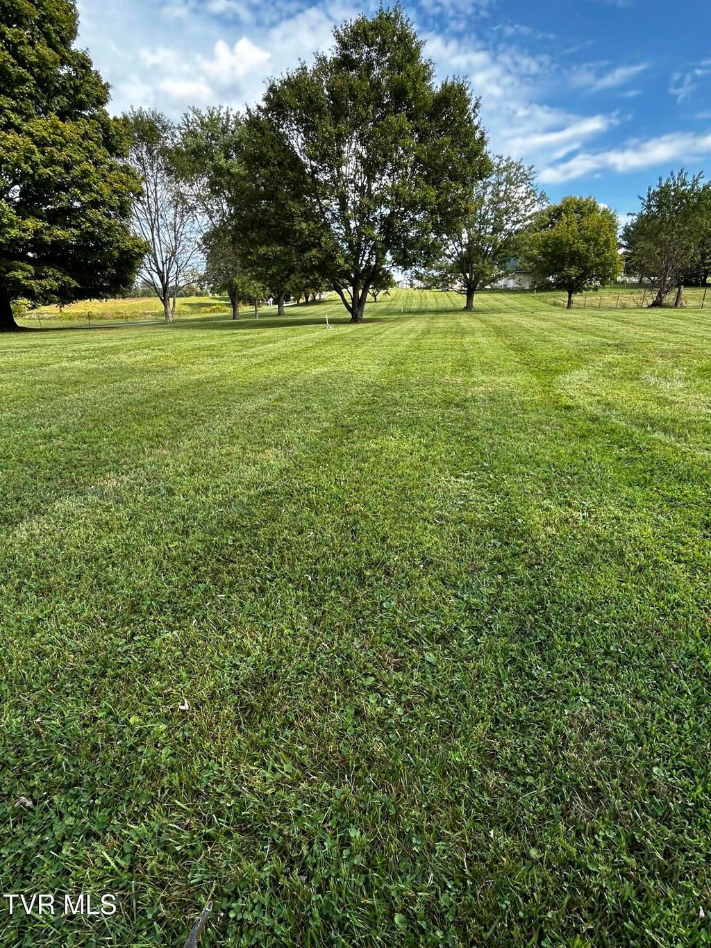 Photo of 45 Bonnie Johnson Lane, Greeneville, TN 37743 (MLS # 9988999)