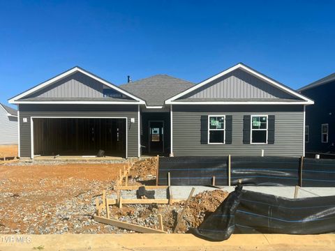 Homes For Sale - 257 Artist Avenue Ave<br/> Washington County County, Johnson City, TN 37615