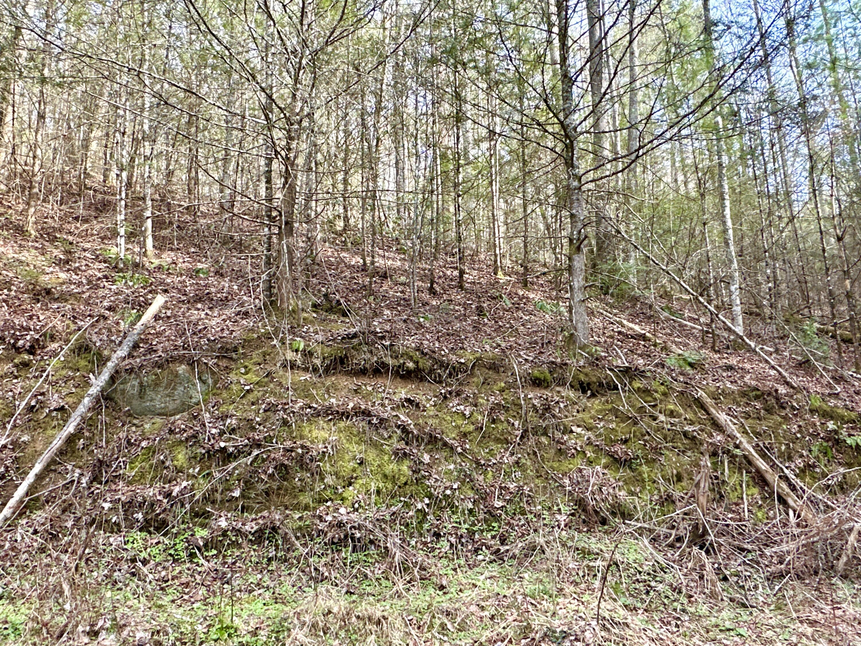 Lot 11 Smoke Rise Way, Del Rio, Tennessee image 5