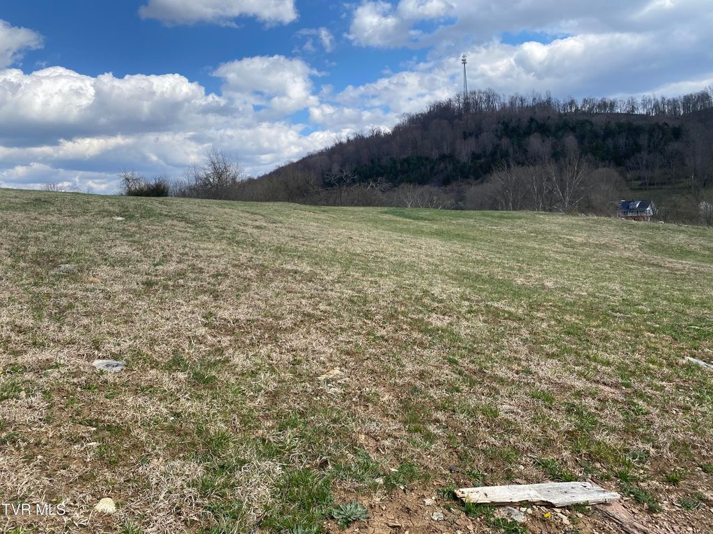 Photo of 2 Riley Street, Lebanon, VA 24266 (MLS # 9980295)