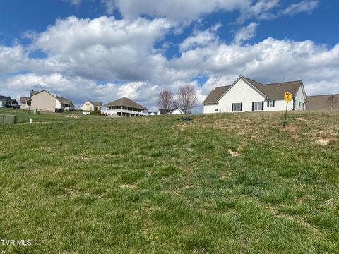 2 Riley Street Lebanon VA 24266