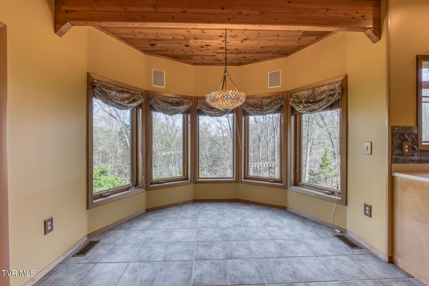 579 Lake Drive, Piney Flats, Tennessee image 29
