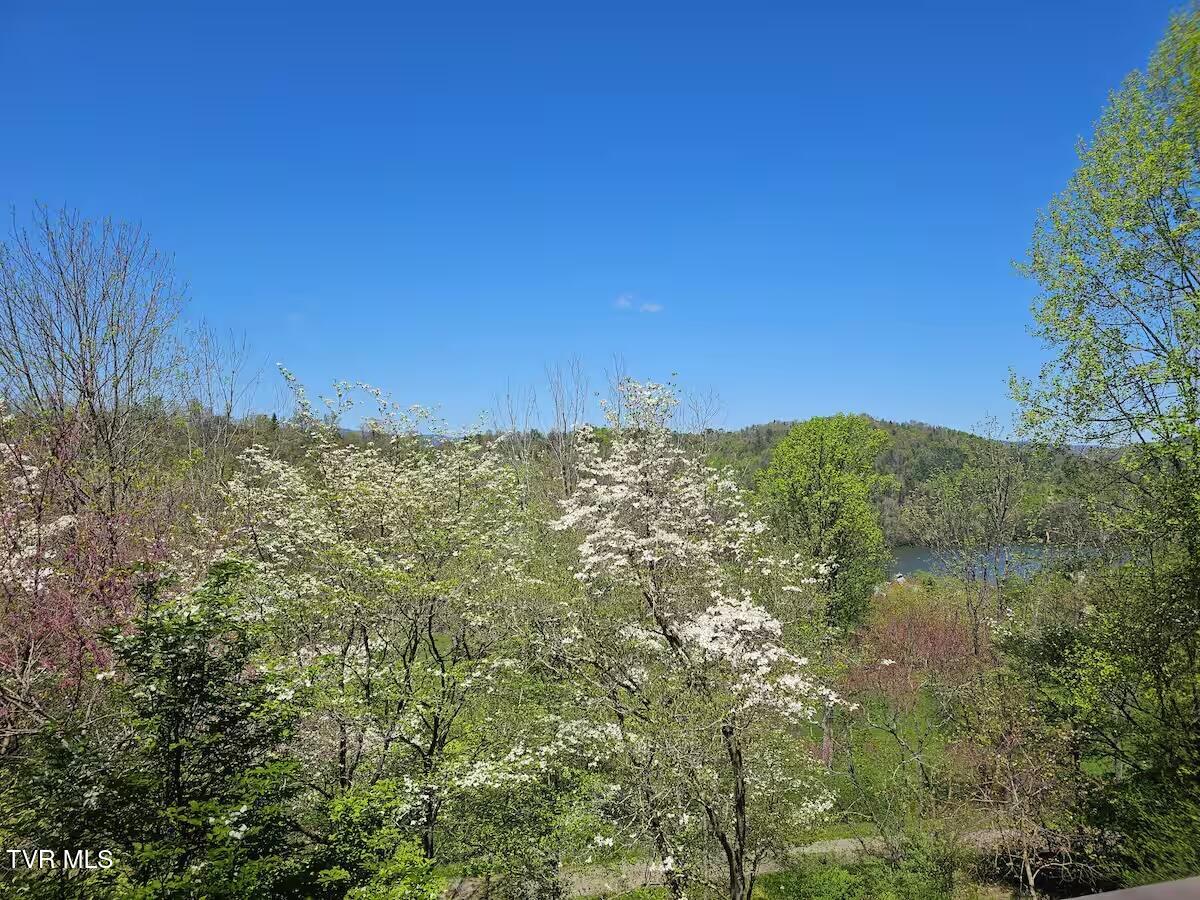 125 Watauga Overlook Drive, Butler, Tennessee image 40