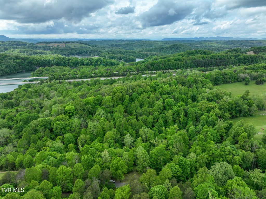 Photo of 660 Gottland Shoals Road, Blountville, TN 37617 (MLS # 9994731)