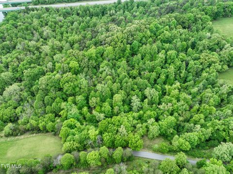660 Gottland Shoals Road Blountville TN 37617