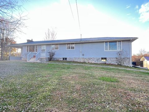 Photo of 229 Clint Street, Kingsport, TN 37660 (MLS # 9988585)