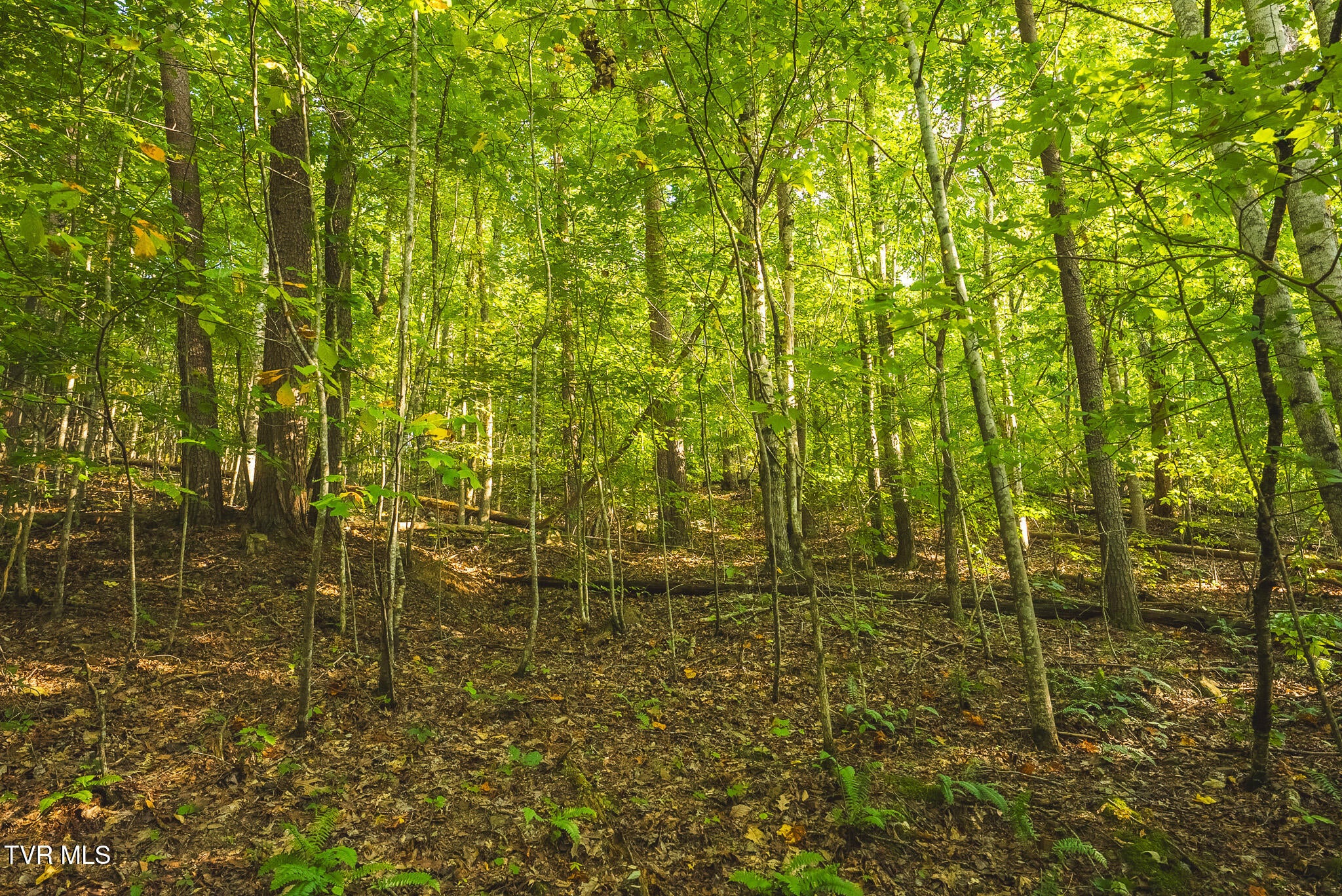 8.62 Ac Stone Mtn Road