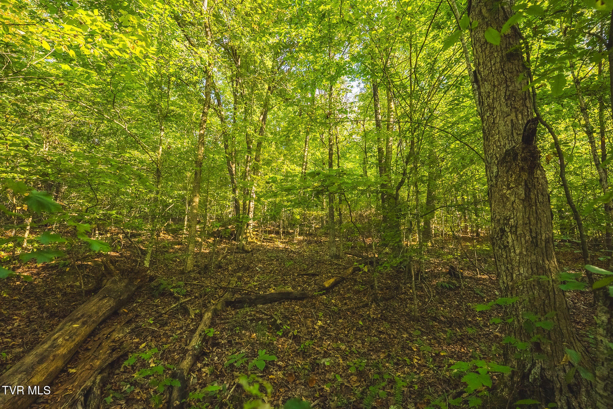 8.62 Ac Stone Mtn Road