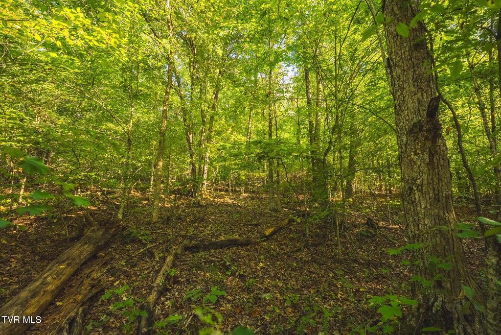 Photo of 862 Stone Mtn Road, Bulls Gap, TN 37711 (MLS # 10000939)
