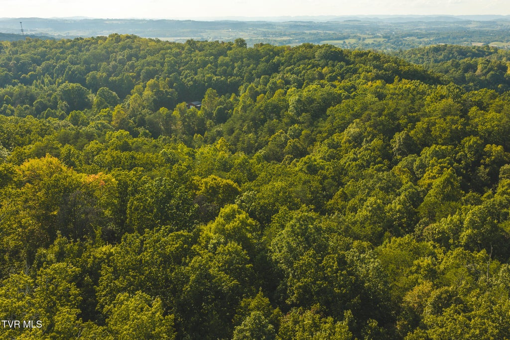 Photo of 862 Stone Mtn Road, Bulls Gap, TN 37711 (MLS # 10000939)